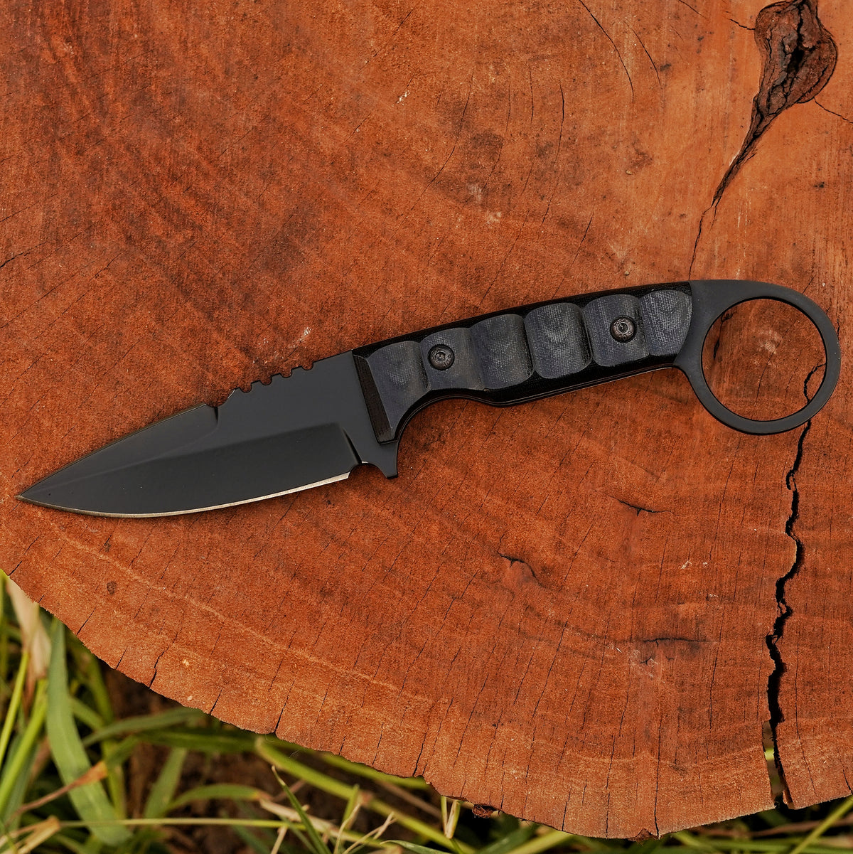 Raven Fang 2